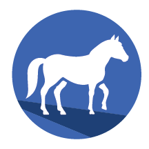 equine icon graphic