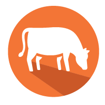 livestock icon graphic