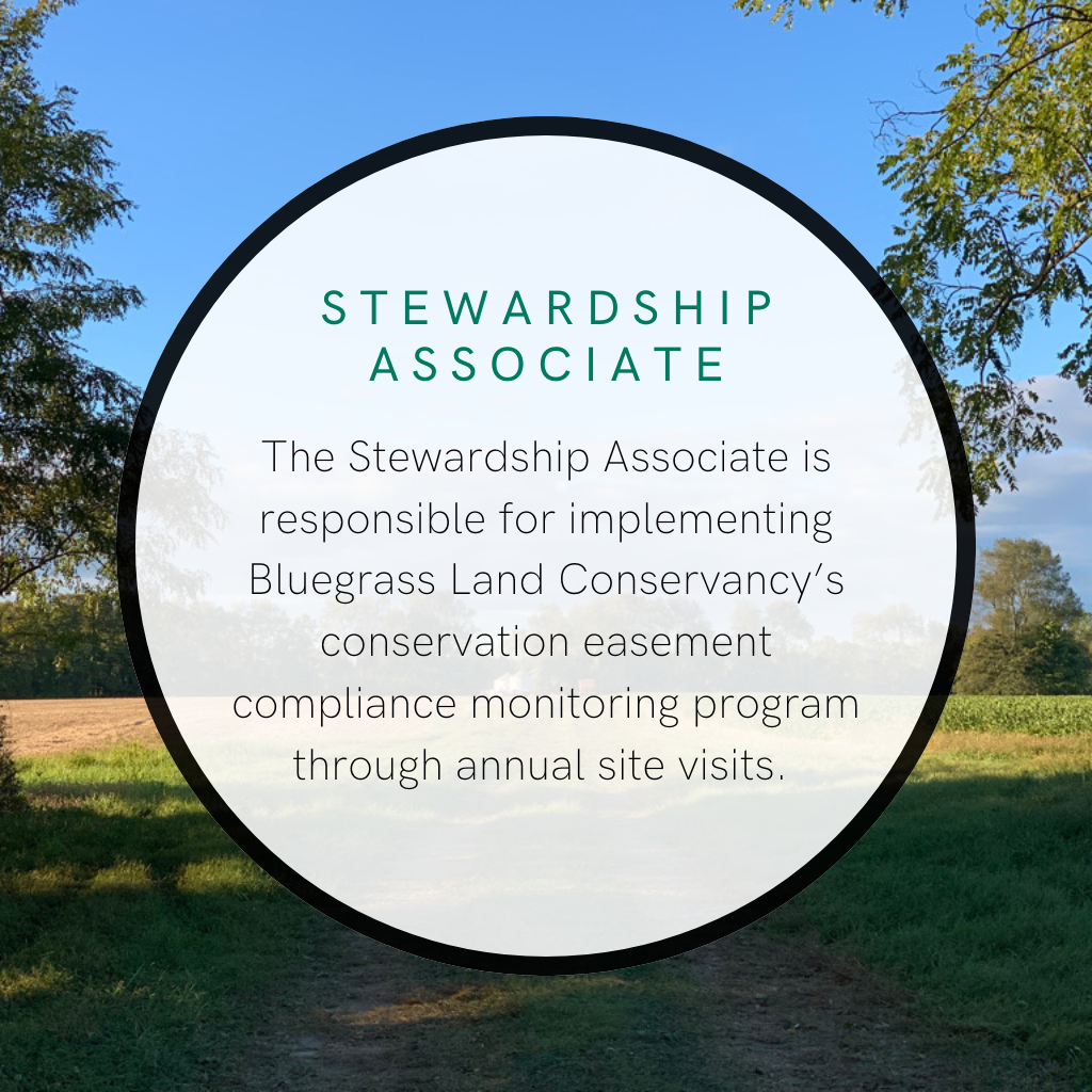 We are hiring Stewardship position